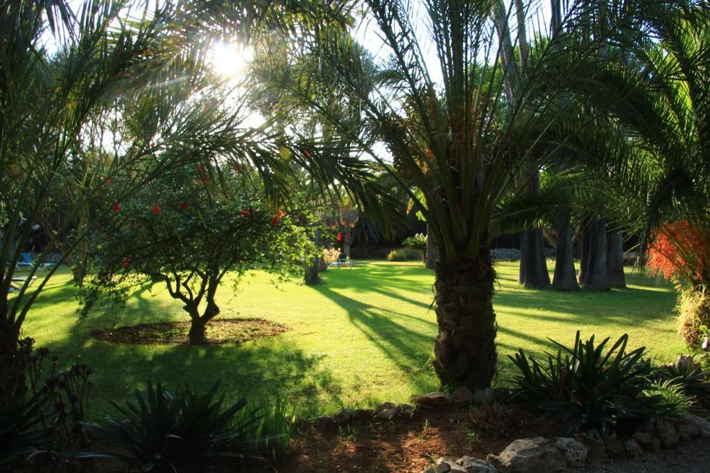 Finca Hotel Predio Son Serra Can Picafort  Luaran gambar